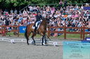 Filename=PT2_7856.JPG
Filesize=633KiB
Dimensions=1227x815
Date added=May 26, 2024 PT2_7856.JPG