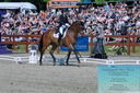 Filename=PT2_7858.JPG
Filesize=608KiB
Dimensions=1227x815
Date added=May 26, 2024 PT2_7858.JPG