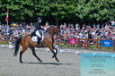 Filename=PT2_7862.JPG
Filesize=643KiB
Dimensions=1227x815
Date added=May 26, 2024 PT2_7862.JPG