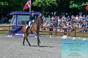 Filename=PT2_7867.JPG
Filesize=582KiB
Dimensions=1227x815
Date added=May 26, 2024 PT2_7867.JPG