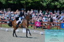 Filename=PT2_7869.JPG
Filesize=581KiB
Dimensions=1227x815
Date added=May 26, 2024 PT2_7869.JPG