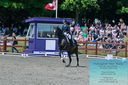 Filename=PT2_7891.JPG
Filesize=574KiB
Dimensions=1227x815
Date added=May 26, 2024 PT2_7891.JPG