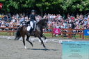 Filename=PT2_7894.JPG
Filesize=563KiB
Dimensions=1227x815
Date added=May 26, 2024 PT2_7894.JPG