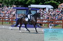 Filename=PT2_7896.JPG
Filesize=586KiB
Dimensions=1227x815
Date added=May 26, 2024 PT2_7896.JPG