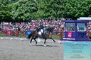 Filename=PT2_7905.JPG
Filesize=628KiB
Dimensions=1227x815
Date added=May 26, 2024 PT2_7905.JPG