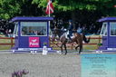 Filename=PT2_7911.JPG
Filesize=572KiB
Dimensions=1227x815
Date added=May 26, 2024 PT2_7911.JPG