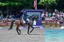Filename=PT2_7915.JPG
Filesize=581KiB
Dimensions=1227x815
Date added=May 26, 2024 PT2_7915.JPG