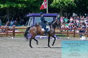 Filename=PT2_7916.JPG
Filesize=585KiB
Dimensions=1227x815
Date added=May 26, 2024 PT2_7916.JPG