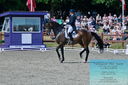 Filename=PT2_7923.JPG
Filesize=547KiB
Dimensions=1227x815
Date added=May 26, 2024 PT2_7923.JPG