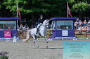 Filename=PT2_7997.JPG
Filesize=563KiB
Dimensions=1227x815
Date added=May 26, 2024 PT2_7997.JPG
