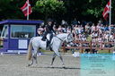 Filename=PT2_8009.JPG
Filesize=560KiB
Dimensions=1227x815
Date added=May 26, 2024 PT2_8009.JPG