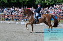 Filename=PT2_8082.JPG
Filesize=585KiB
Dimensions=1227x815
Date added=May 26, 2024 PT2_8082.JPG