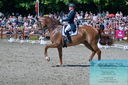 Filename=PT2_8084.JPG
Filesize=571KiB
Dimensions=1227x815
Date added=May 26, 2024 PT2_8084.JPG