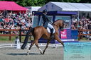 Filename=PT2_8201.JPG
Filesize=539KiB
Dimensions=1227x815
Date added=May 26, 2024 PT2_8201.JPG