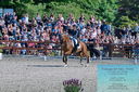Filename=PT2_8203.JPG
Filesize=670KiB
Dimensions=1227x815
Date added=May 26, 2024 PT2_8203.JPG