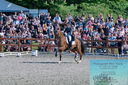 Filename=PT2_8204.JPG
Filesize=596KiB
Dimensions=1227x815
Date added=May 26, 2024 PT2_8204.JPG