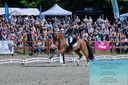 Filename=PT2_8206.JPG
Filesize=595KiB
Dimensions=1227x815
Date added=May 26, 2024 PT2_8206.JPG