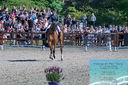 Filename=PT2_8214.JPG
Filesize=653KiB
Dimensions=1227x815
Date added=May 26, 2024 PT2_8214.JPG