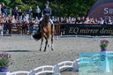 Filename=PT2_8215.JPG
Filesize=580KiB
Dimensions=1227x815
Date added=May 26, 2024 PT2_8215.JPG