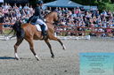 Filename=PT2_8218.JPG
Filesize=505KiB
Dimensions=1227x815
Date added=May 26, 2024 PT2_8218.JPG