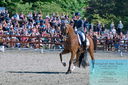 Filename=PT2_8220.JPG
Filesize=545KiB
Dimensions=1227x815
Date added=May 26, 2024 PT2_8220.JPG