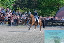 Filename=PT2_8225.JPG
Filesize=657KiB
Dimensions=1227x815
Date added=May 26, 2024 PT2_8225.JPG