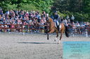 Filename=PT2_8228.JPG
Filesize=640KiB
Dimensions=1227x815
Date added=May 26, 2024 PT2_8228.JPG