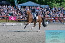 Filename=PT2_8230.JPG
Filesize=597KiB
Dimensions=1227x815
Date added=May 26, 2024 PT2_8230.JPG