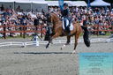 Filename=PT2_8232.JPG
Filesize=596KiB
Dimensions=1227x815
Date added=May 26, 2024 PT2_8232.JPG