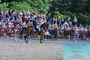 Filename=PT2_8235.JPG
Filesize=654KiB
Dimensions=1227x815
Date added=May 26, 2024 PT2_8235.JPG