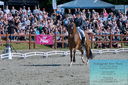 Filename=PT2_8247.JPG
Filesize=586KiB
Dimensions=1227x815
Date added=May 26, 2024 PT2_8247.JPG