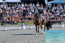 Filename=PT2_8250.JPG
Filesize=572KiB
Dimensions=1227x815
Date added=May 26, 2024 PT2_8250.JPG