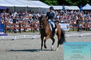 Filename=PT2_8252.JPG
Filesize=560KiB
Dimensions=1227x815
Date added=May 26, 2024 PT2_8252.JPG