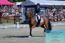 Filename=PT2_8255.JPG
Filesize=569KiB
Dimensions=1227x815
Date added=May 26, 2024 PT2_8255.JPG