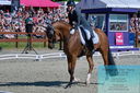 Filename=PT2_8257.JPG
Filesize=548KiB
Dimensions=1227x815
Date added=May 26, 2024 PT2_8257.JPG