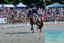 Filename=PT2_8355.JPG
Filesize=614KiB
Dimensions=1227x815
Date added=May 26, 2024 PT2_8355.JPG