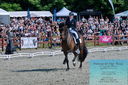 Filename=PT2_8356.JPG
Filesize=609KiB
Dimensions=1227x815
Date added=May 26, 2024 PT2_8356.JPG