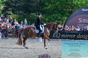 Filename=PT2_8381.JPG
Filesize=589KiB
Dimensions=1227x815
Date added=May 26, 2024 PT2_8381.JPG