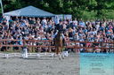 Filename=PT2_8383.JPG
Filesize=640KiB
Dimensions=1227x815
Date added=May 26, 2024 PT2_8383.JPG