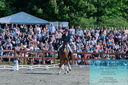 Filename=PT2_8384.JPG
Filesize=635KiB
Dimensions=1227x815
Date added=May 26, 2024 PT2_8384.JPG