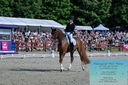 Filename=PT2_8391.JPG
Filesize=610KiB
Dimensions=1227x815
Date added=May 26, 2024 PT2_8391.JPG