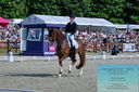 Filename=PT2_8392.JPG
Filesize=593KiB
Dimensions=1227x815
Date added=May 26, 2024 PT2_8392.JPG