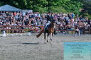 Filename=PT2_8400.JPG
Filesize=667KiB
Dimensions=1227x815
Date added=May 26, 2024 PT2_8400.JPG