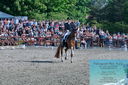Filename=PT2_8401.JPG
Filesize=666KiB
Dimensions=1227x815
Date added=May 26, 2024 PT2_8401.JPG