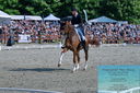 Filename=PT2_8410.JPG
Filesize=631KiB
Dimensions=1227x815
Date added=May 26, 2024 PT2_8410.JPG