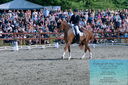 Filename=PT2_8415.JPG
Filesize=620KiB
Dimensions=1227x815
Date added=May 26, 2024 PT2_8415.JPG