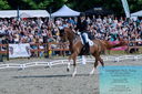 Filename=PT2_8416.JPG
Filesize=531KiB
Dimensions=1227x815
Date added=May 26, 2024 PT2_8416.JPG