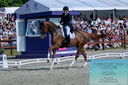 Filename=PT2_8417.JPG
Filesize=532KiB
Dimensions=1227x815
Date added=May 26, 2024 PT2_8417.JPG