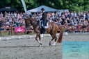 Filename=PT2_8425.JPG
Filesize=625KiB
Dimensions=1227x815
Date added=May 26, 2024 PT2_8425.JPG