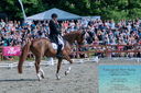 Filename=PT2_8426.JPG
Filesize=599KiB
Dimensions=1227x815
Date added=May 26, 2024 PT2_8426.JPG